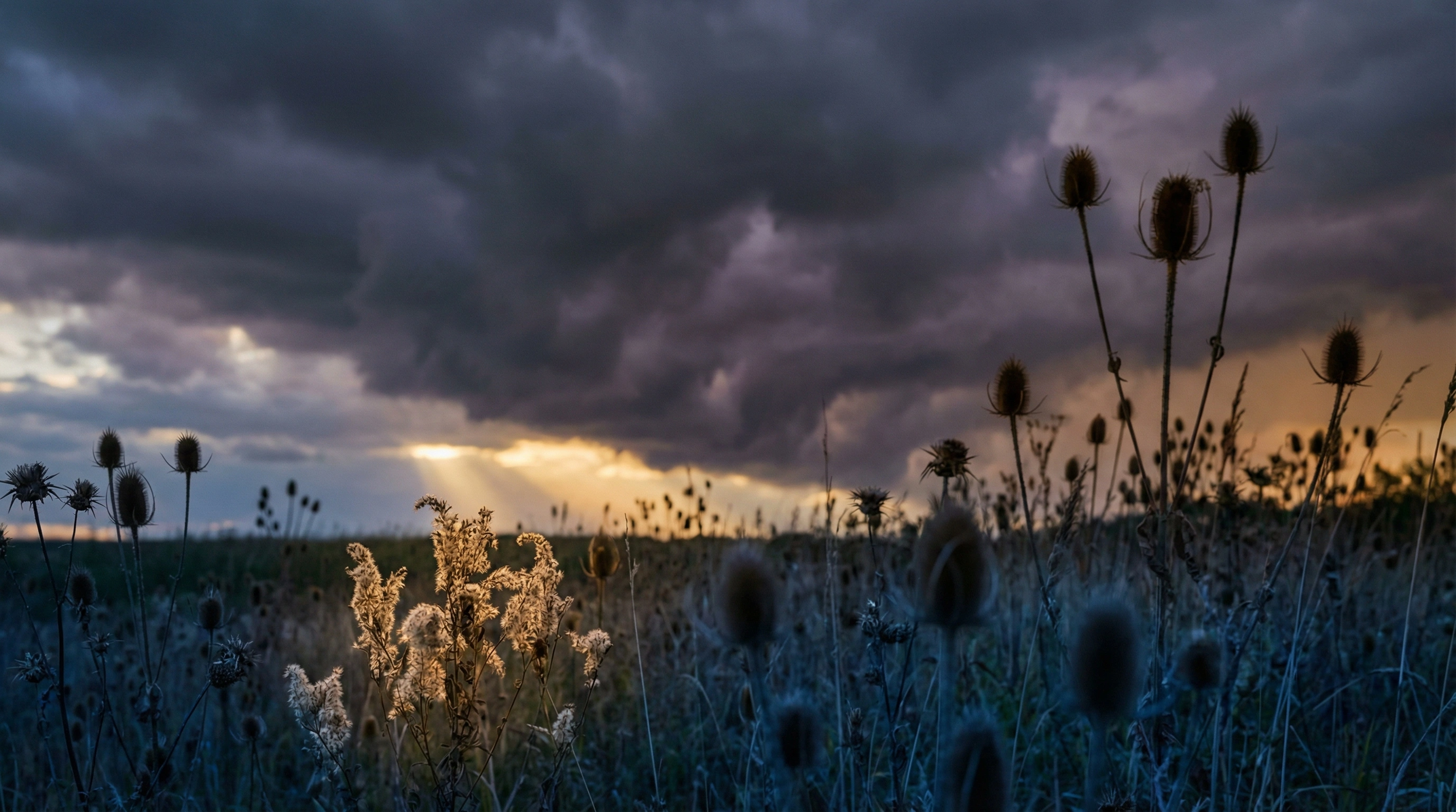 Why swapping Your retinol for bakuchiol could backfire