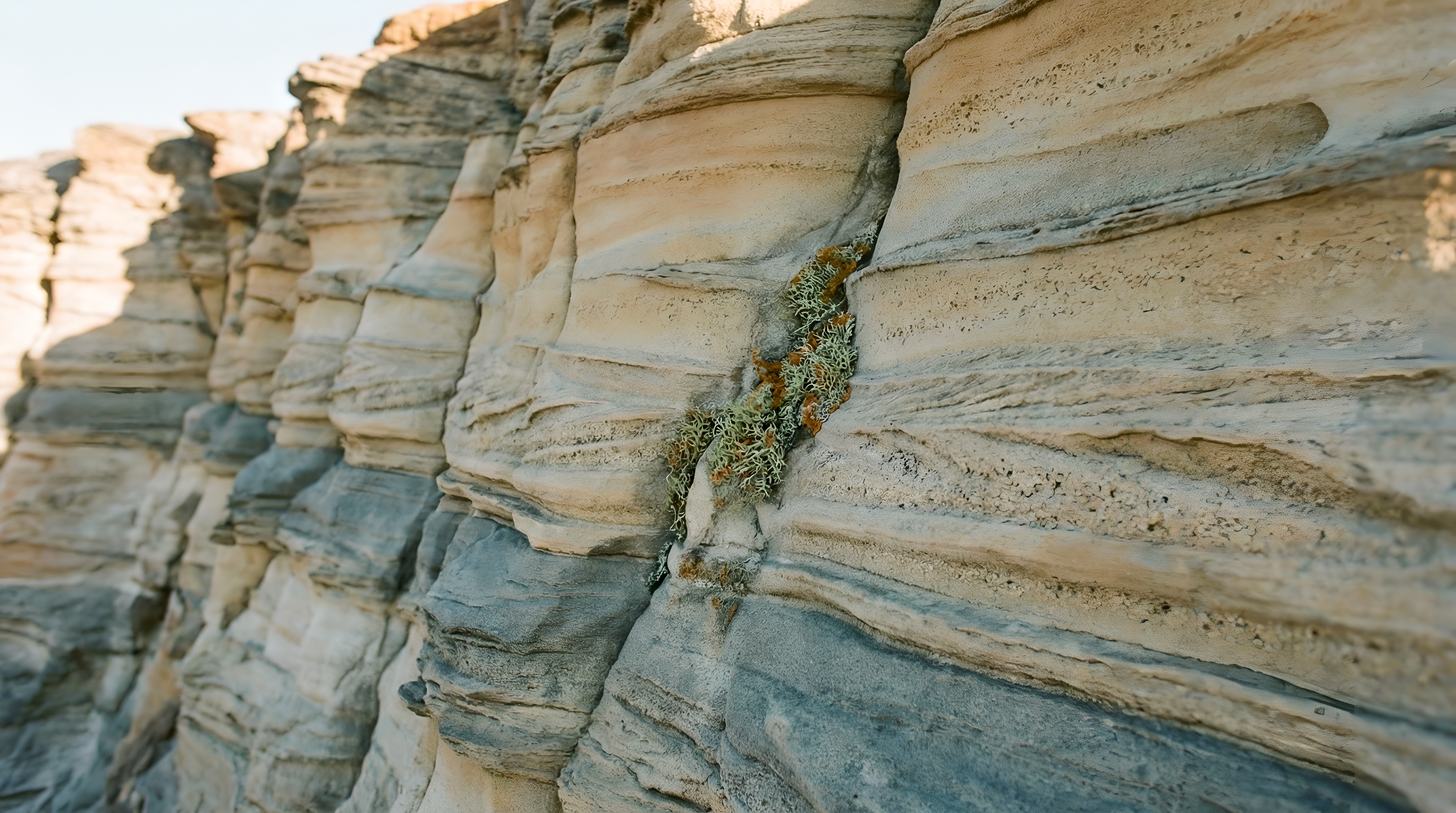 The truth about collagen: what actually works (And what’s wasting your money)